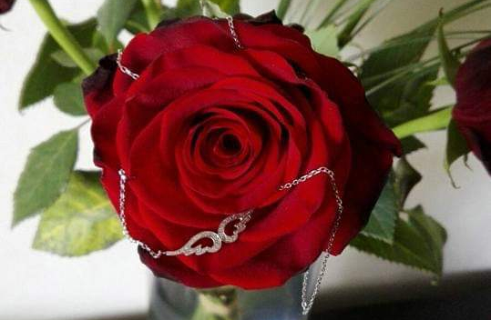 FB_IMG_1556705412852